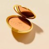 NUXE POUDRE ECLAT PRODIGIEUSE 25G